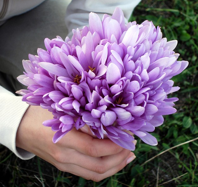 emilix-2-1434537-639x852